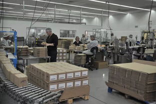 沙漠里的天貓雙11 中國考拉拯救以色列工廠