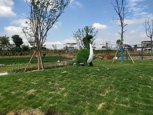 化創意為實景 云南重慶西安立體景觀雕塑廠家的園林藝術新篇章