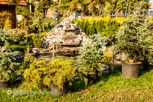 常綠植物在園林綠化假山與戶外花園中的市場前景與應用