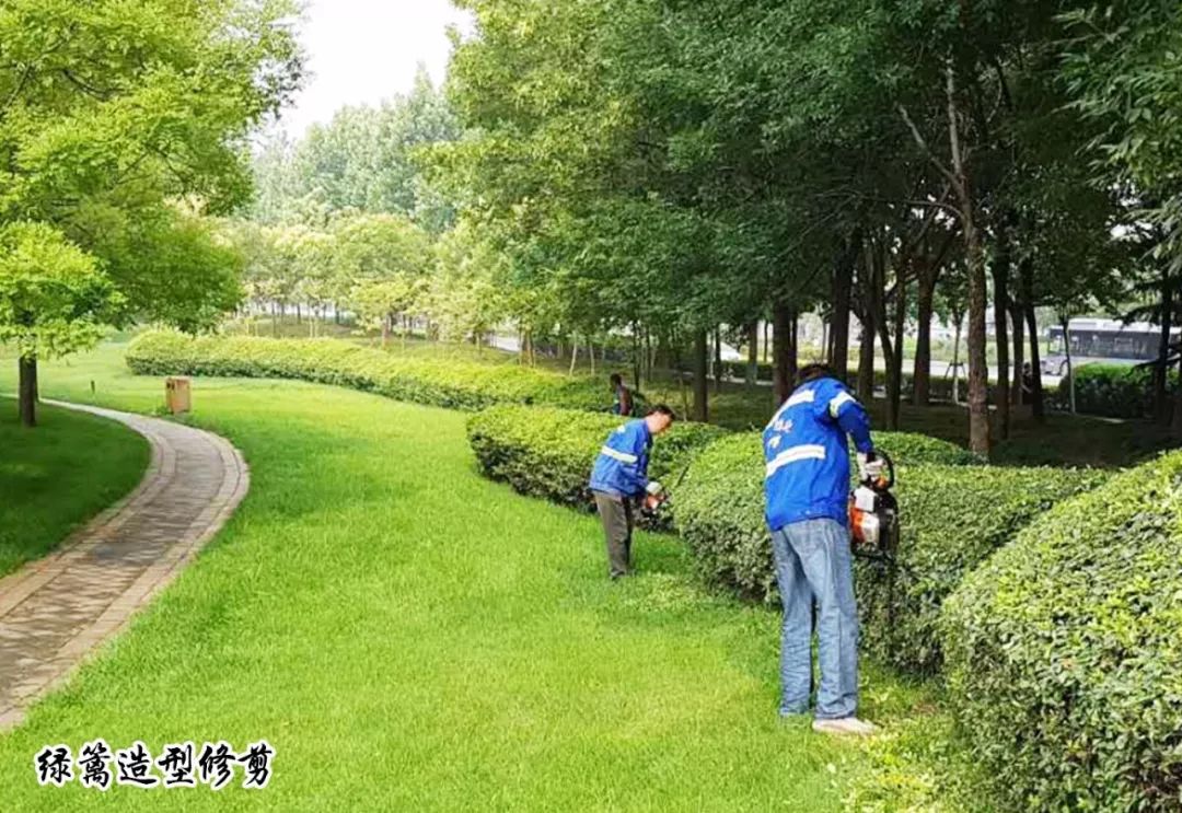 興東園林 全面加強夏季綠化養護精細化管理，守護城市綠意