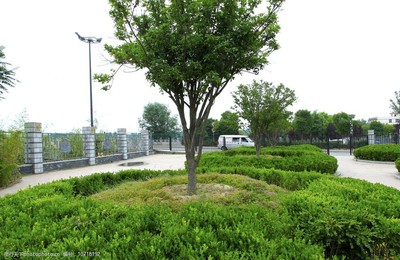 園林綠化 讓城市呼吸的詩意畫卷